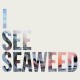 The Drones - I See Seaweed - Tekst piosenki, lyrics | Tekściki.pl