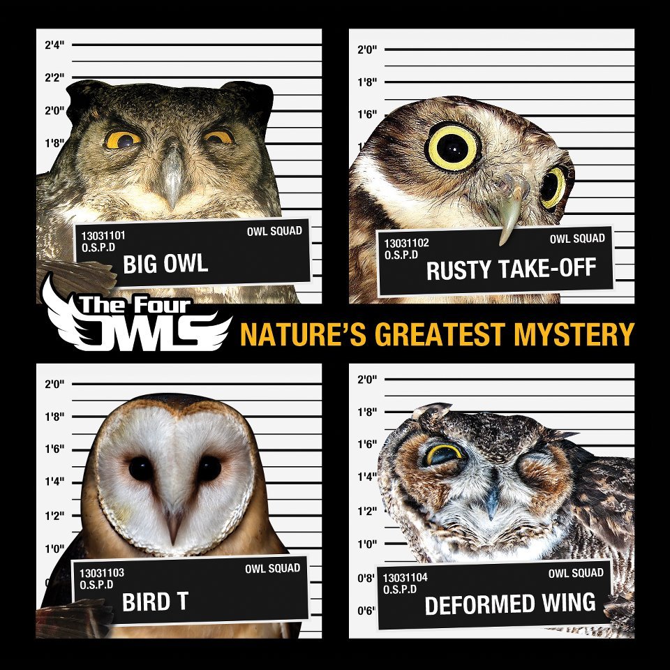 The Four Owls - Natures Greatest Mystery - Tekst piosenki, lyrics | Tekściki.pl