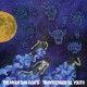 The Mountain Goats - Transcendental Youth - Tekst piosenki, lyrics | Tekściki.pl