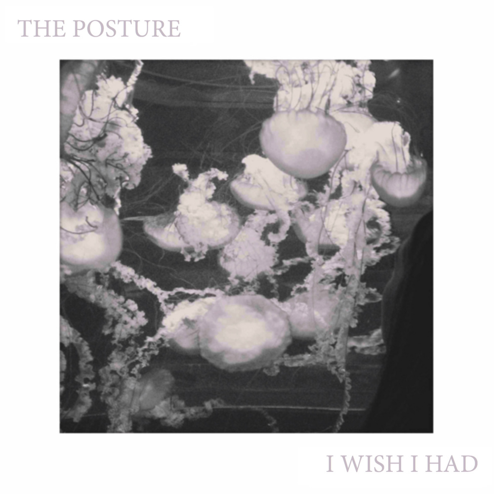 The Posture - I Wish I Had - Tekst piosenki, lyrics | Tekściki.pl