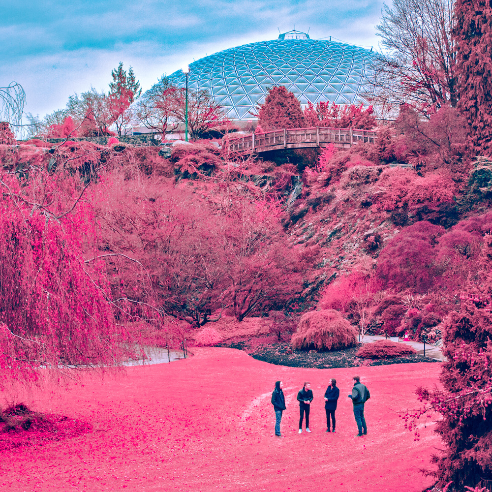 The Zolas - Swooner - Tekst piosenki, lyrics | Tekściki.pl