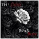 TheDon - White Rose EP - Tekst piosenki, lyrics | Tekściki.pl