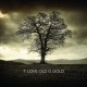 T.Love - Old is Gold - Tekst piosenki, lyrics | Tekściki.pl