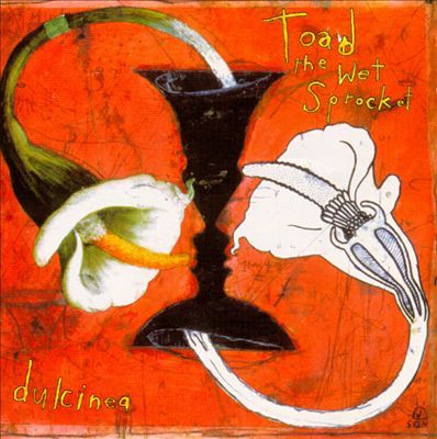 Toad The Wet Sprocket - Dulcinea - Tekst piosenki, lyrics | Tekściki.pl