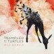 Trampled by Turtles - Wild Animals - Tekst piosenki, lyrics | Tekściki.pl