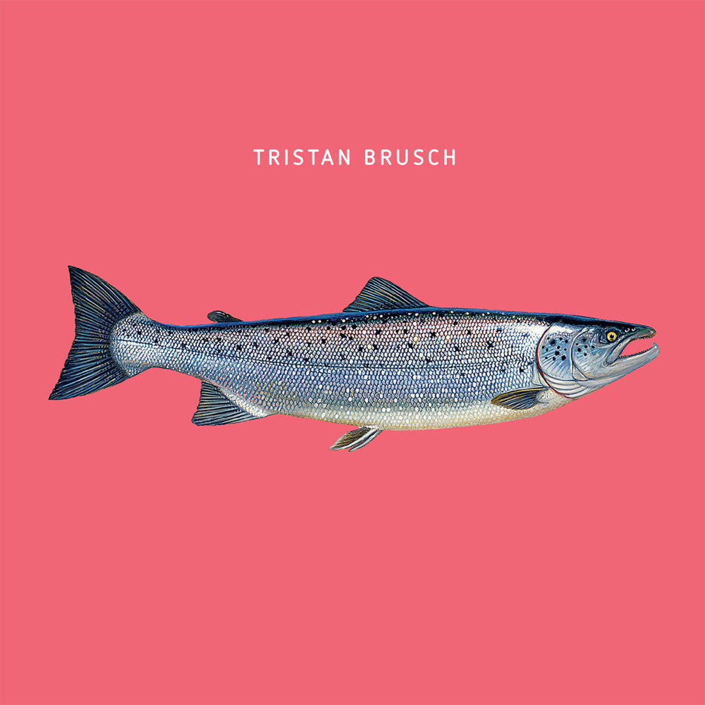 Tristan Brusch - Fisch EP - Tekst piosenki, lyrics | Tekściki.pl