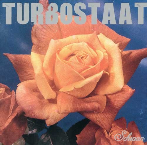 Turbostaat - Schwan - Tekst piosenki, lyrics | Tekściki.pl