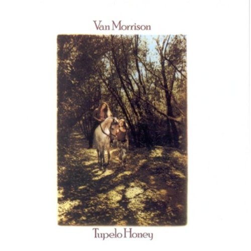 Van Morrison - Tupelo Honey - Tekst piosenki, lyrics | Tekściki.pl