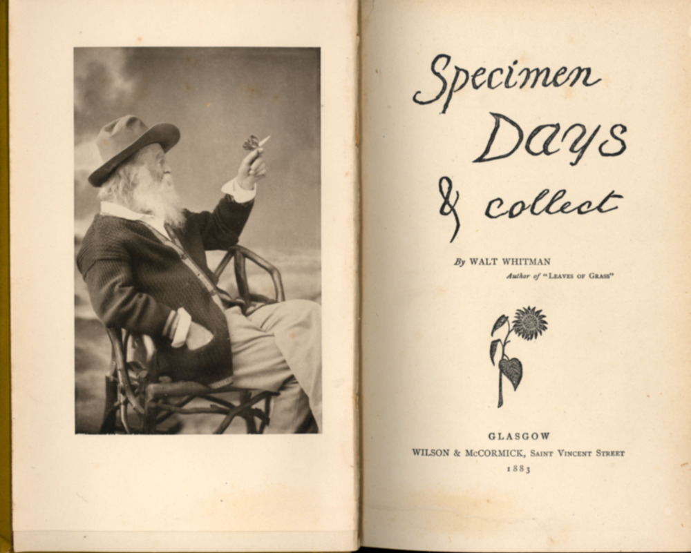 Walt Whitman - Specimen Days - Tekst piosenki, lyrics | Tekściki.pl