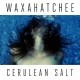 Waxahatchee - Cerulean Salt - Tekst piosenki, lyrics | Tekściki.pl