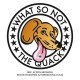 What So Not - The Quack EP - Tekst piosenki, lyrics | Tekściki.pl