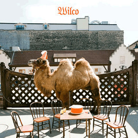 Wilco - Wilco (The Album) - Tekst piosenki, lyrics | Tekściki.pl