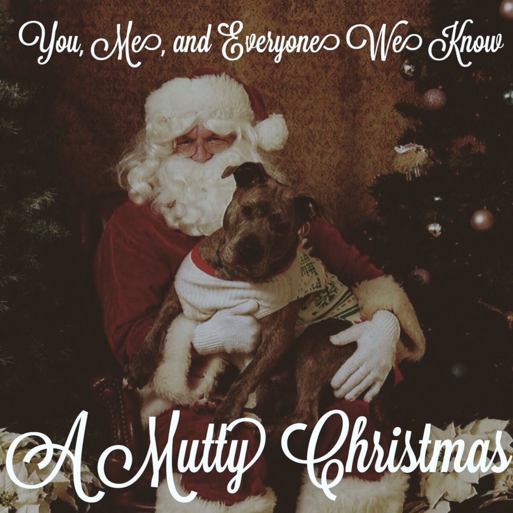 You, Me, and Everyone We Know - A Mutty Christmas - Tekst piosenki, lyrics | Tekściki.pl