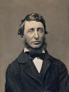 Henry David Thoreau - Artysta, teksty piosenek, lyrics - teksciki.pl