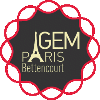 Igem Paris Bettencourt team - Artysta, teksty piosenek, lyrics - teksciki.pl