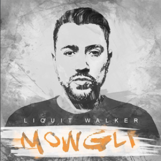 Liquit Walker - Artysta, teksty piosenek, lyrics - teksciki.pl