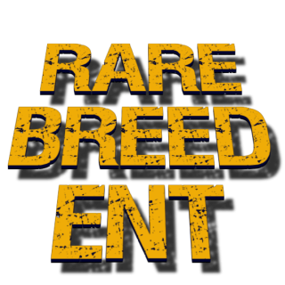 Rare Breed Entertainment - Artysta, teksty piosenek, lyrics - teksciki.pl