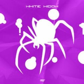 White Widow (PL) - Artysta, teksty piosenek, lyrics - teksciki.pl