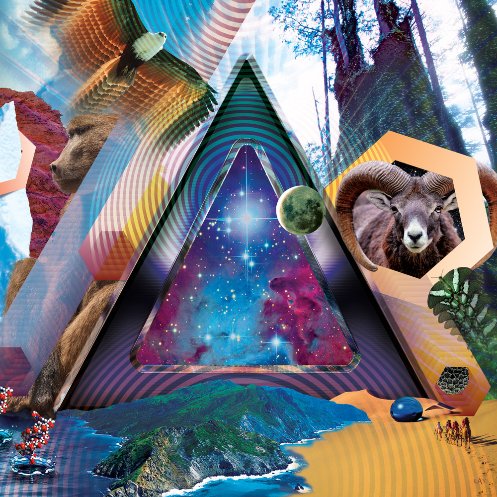 311 - Rock On - Tekst piosenki, lyrics - teksciki.pl