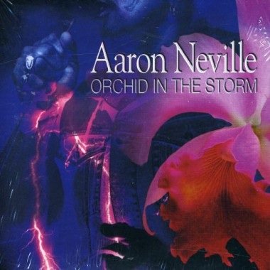 Aaron Neville - Pledging My Love - Tekst piosenki, lyrics - teksciki.pl