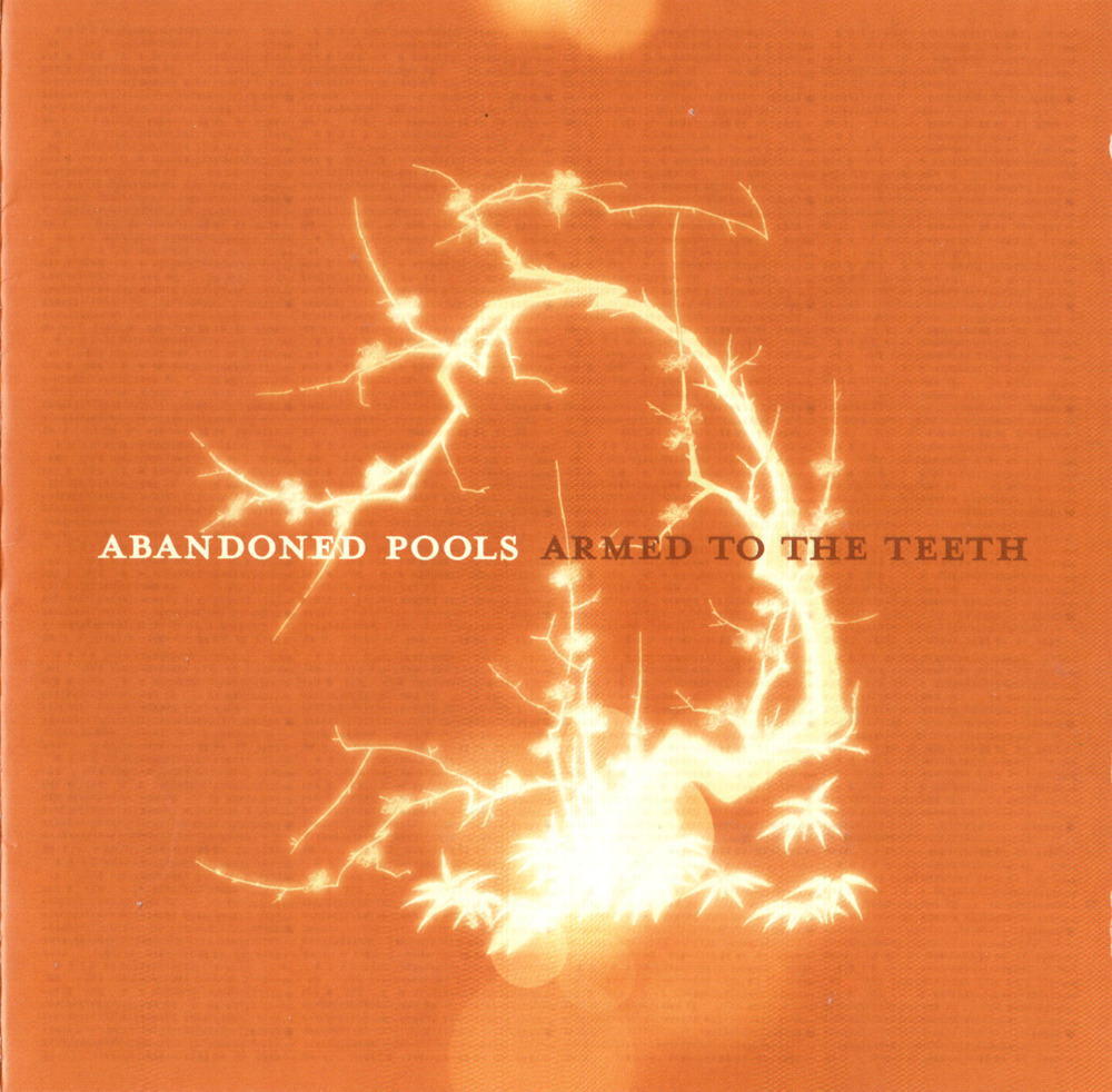 Abandoned Pools - Armed To The Teeth - Tekst piosenki, lyrics - teksciki.pl