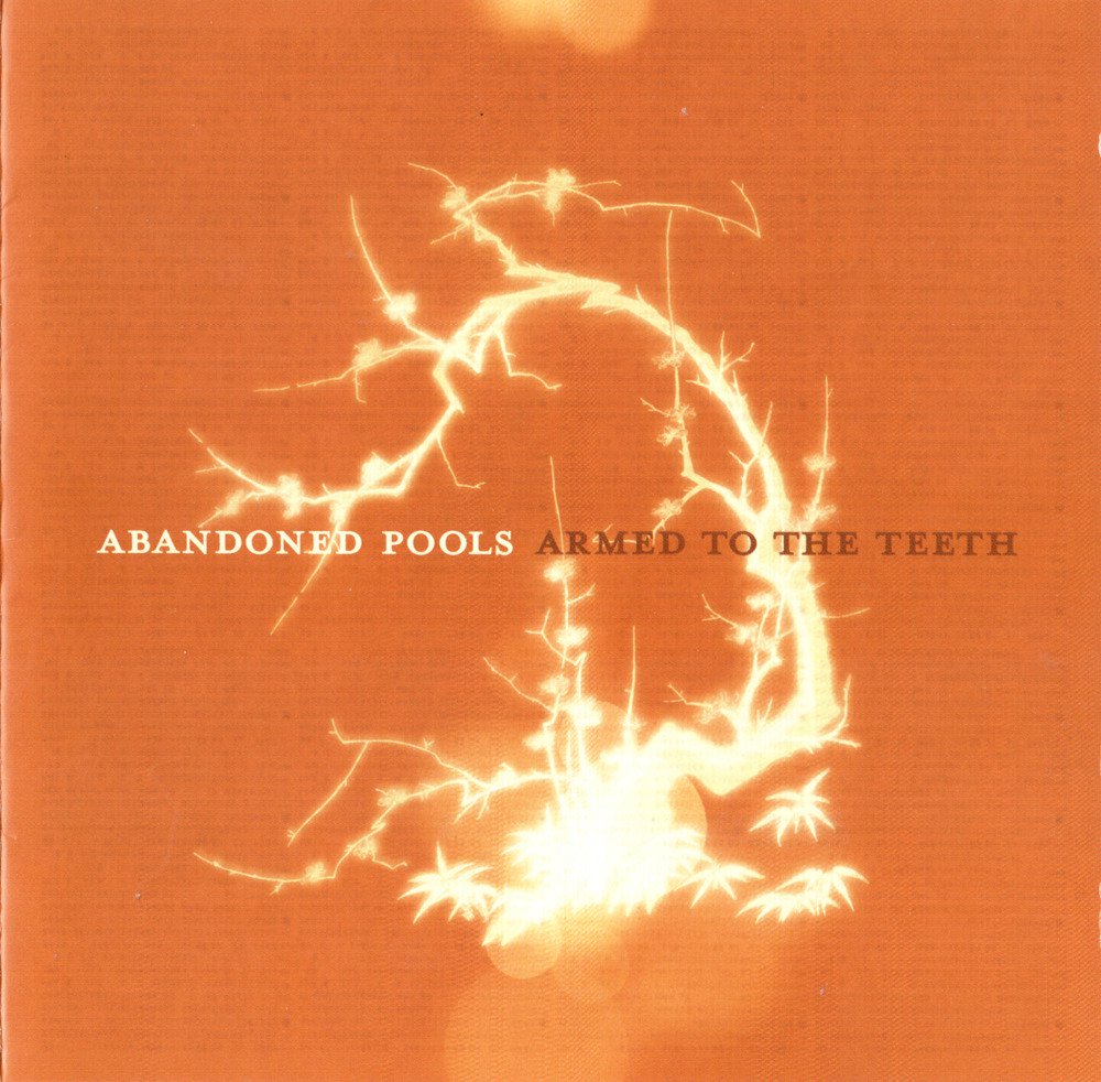 Abandoned Pools - Lucky [Bonus Track] - Tekst piosenki, lyrics - teksciki.pl