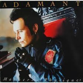 Adamant - Manners & Physique - Tekst piosenki, lyrics - teksciki.pl