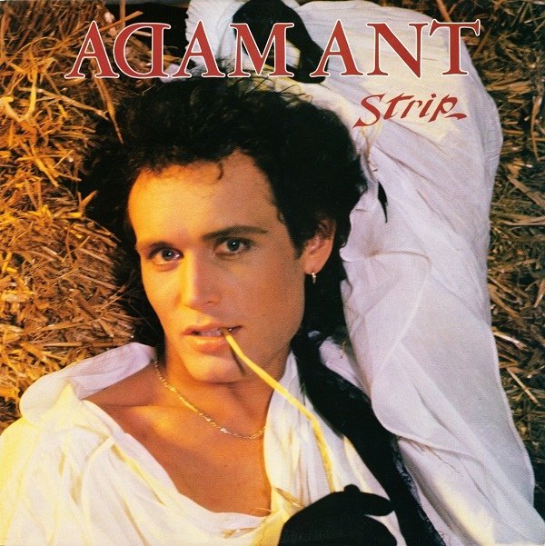Adamant - Puss'n Boots - Tekst piosenki, lyrics - teksciki.pl