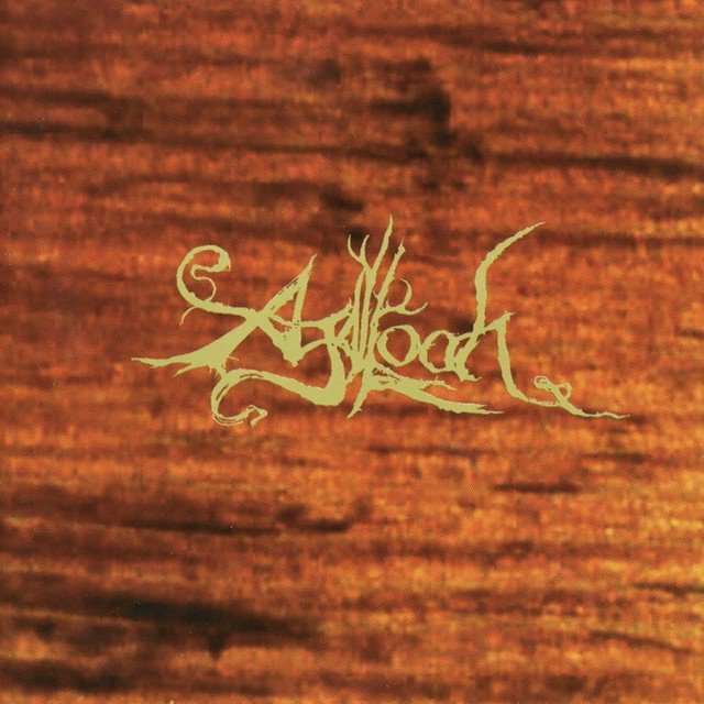 Agalloch - Dead Winter Days - Tekst piosenki, lyrics - teksciki.pl