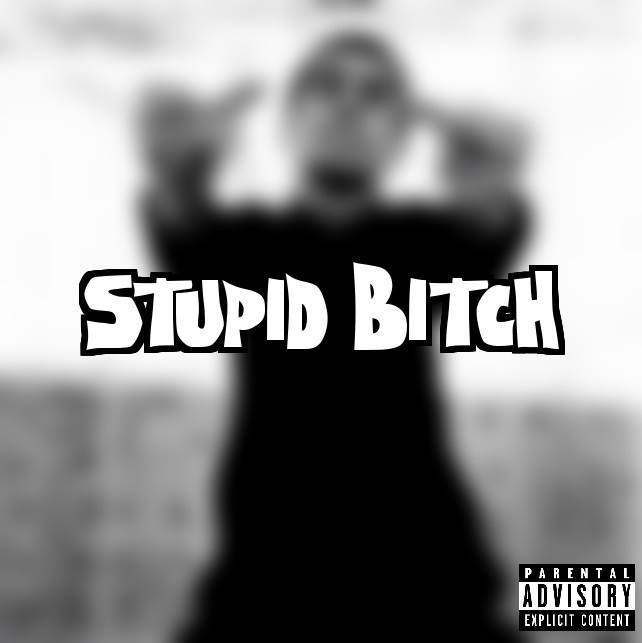 Aland.V - Stupid Bitch - Tekst piosenki, lyrics - teksciki.pl