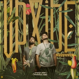 Alert312 - Local - Tekst piosenki, lyrics - teksciki.pl
