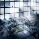 Alesana - Comedy of Errors - Tekst piosenki, lyrics - teksciki.pl