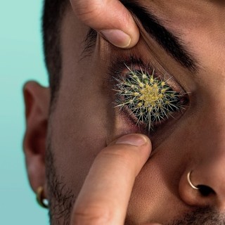 Alex Vargas - What You Wish For - Tekst piosenki, lyrics - teksciki.pl