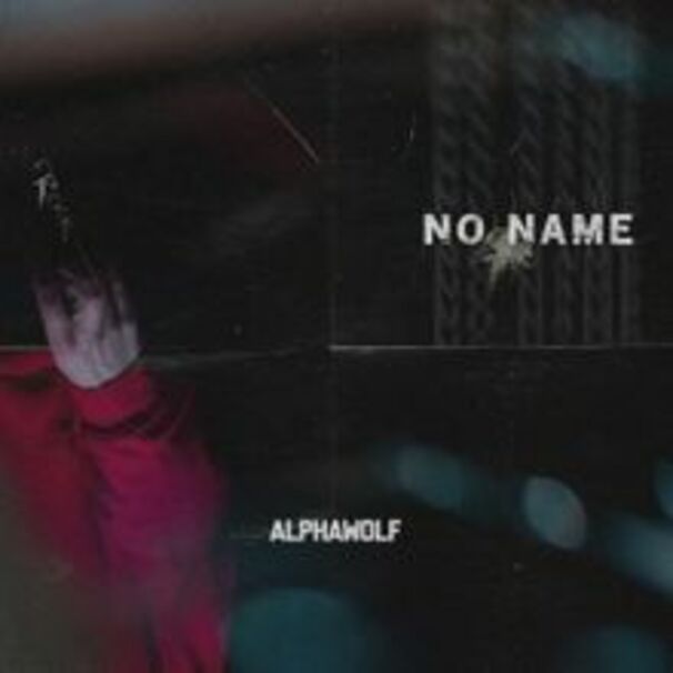 Alpha Wolf - No Name - Tekst piosenki, lyrics - teksciki.pl