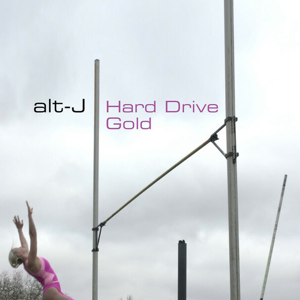 alt-J - Hard Drive Gold - Tekst piosenki, lyrics - teksciki.pl
