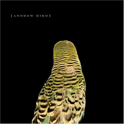 Andrew Bird - Armchairs - Tekst piosenki, lyrics - teksciki.pl