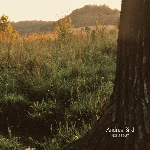 Andrew Bird - Nomenclature - Tekst piosenki, lyrics - teksciki.pl