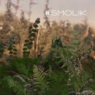 Andrzej Smolik - Home Made - Tekst piosenki, lyrics - teksciki.pl