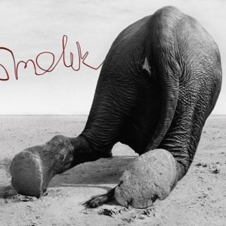 Andrzej Smolik - Sip - Tekst piosenki, lyrics - teksciki.pl