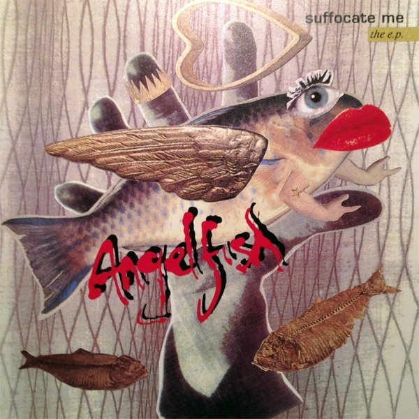 Angelfish - Kimberly - Tekst piosenki, lyrics - teksciki.pl