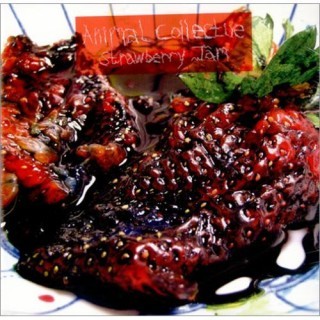 Animal Collective - Chores - Tekst piosenki, lyrics - teksciki.pl