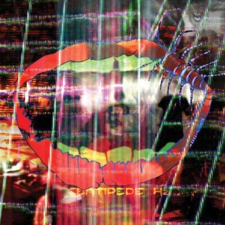 Animal Collective - Wide Eyed - Tekst piosenki, lyrics - teksciki.pl