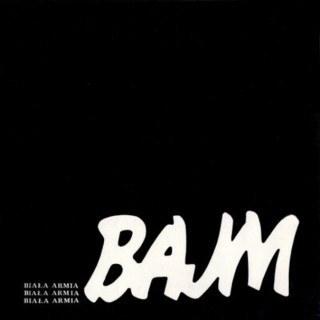 Bajm (PL) - Born to Slide - Tekst piosenki, lyrics - teksciki.pl