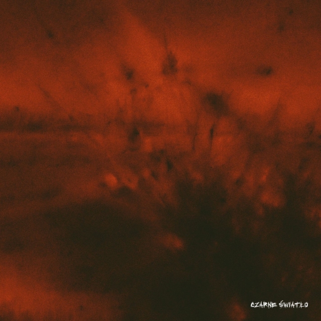 Bazi x TMKBeatz x Dj Noriz - Asylum - Tekst piosenki, lyrics - teksciki.pl