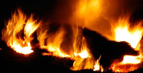 Big Teach - Outro: Last Chance - Tekst piosenki, lyrics - teksciki.pl