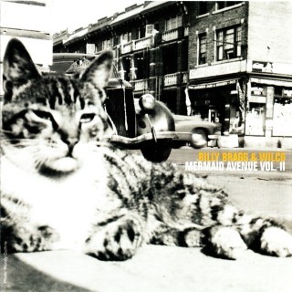 Billy Bragg and Wilco - Joe DiMaggio Done it Again - Tekst piosenki, lyrics - teksciki.pl