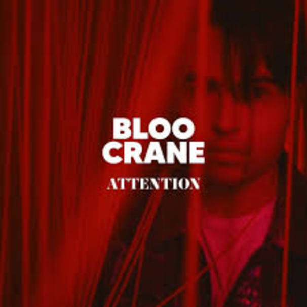 Bloo Crane - Attention - Tekst piosenki, lyrics - teksciki.pl