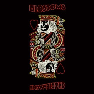 Blossoms - Charlemagne - Tekst piosenki, lyrics - teksciki.pl