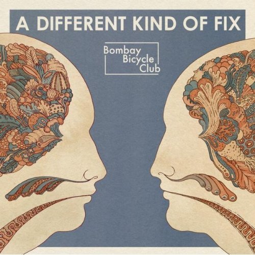 Bombay Bicycle Club - Shuffle - Tekst piosenki, lyrics - teksciki.pl