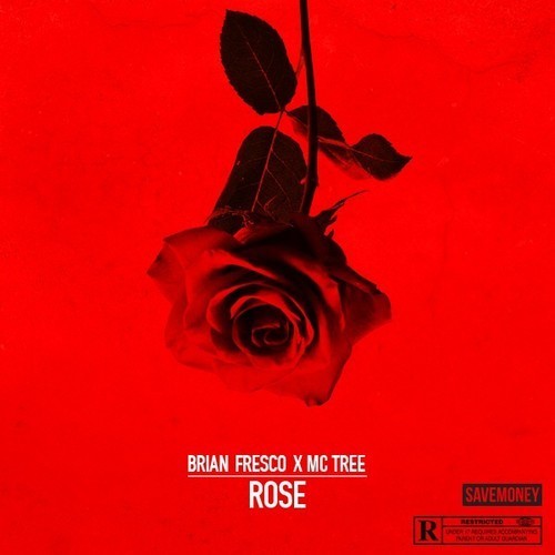 Brian Fresco - Rose - Tekst piosenki, lyrics - teksciki.pl
